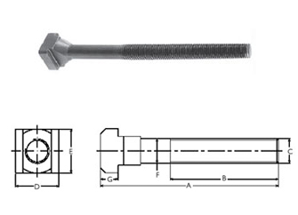 T - Болтс Дин - 787